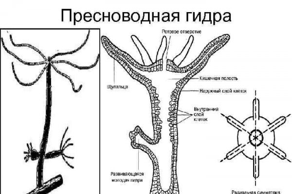 Кракен плейс