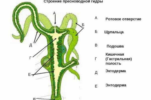 Kraken darknet market ссылка